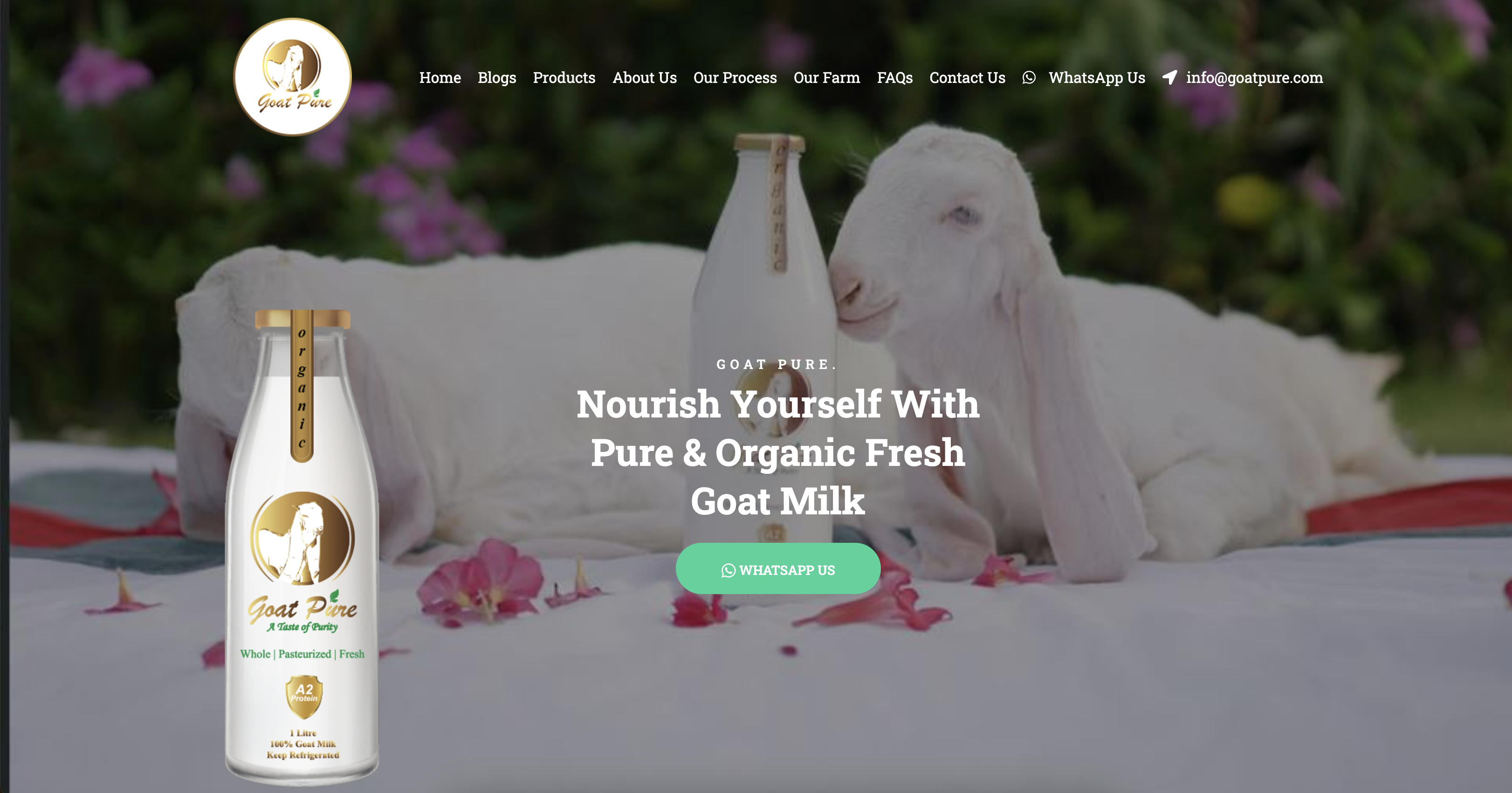 web mobile project 2